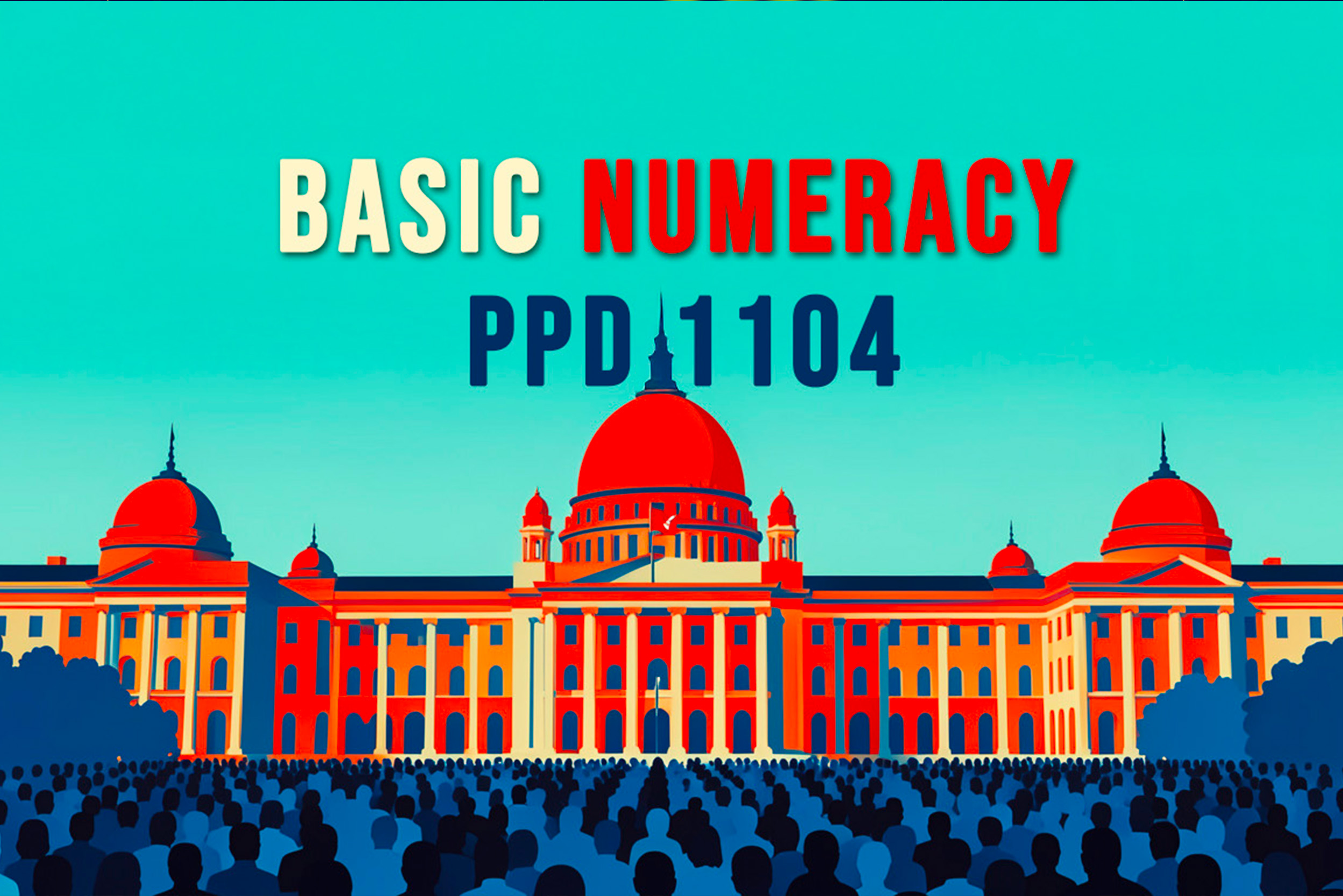 Basic Numeracy